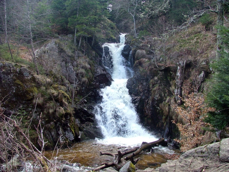 Cascade du saut ferrant - Sauvain