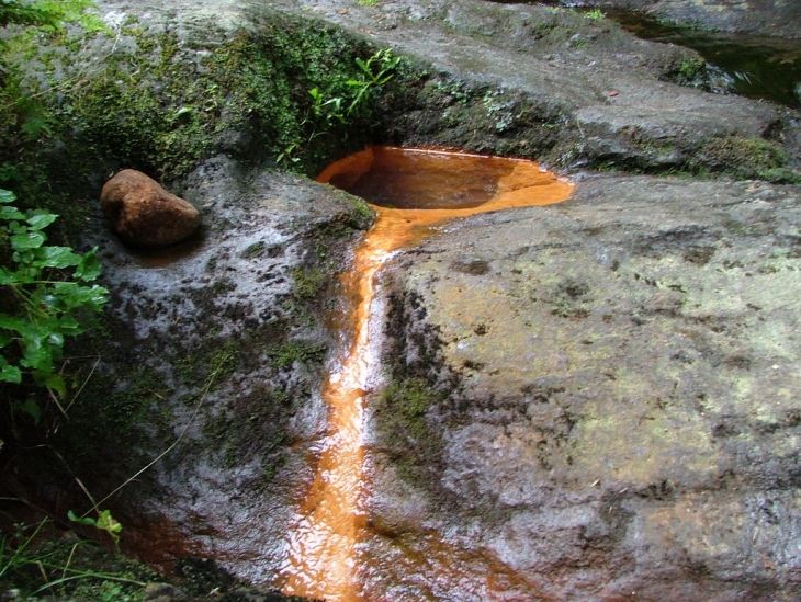 Eau minérale à la fonfort - Sauvain