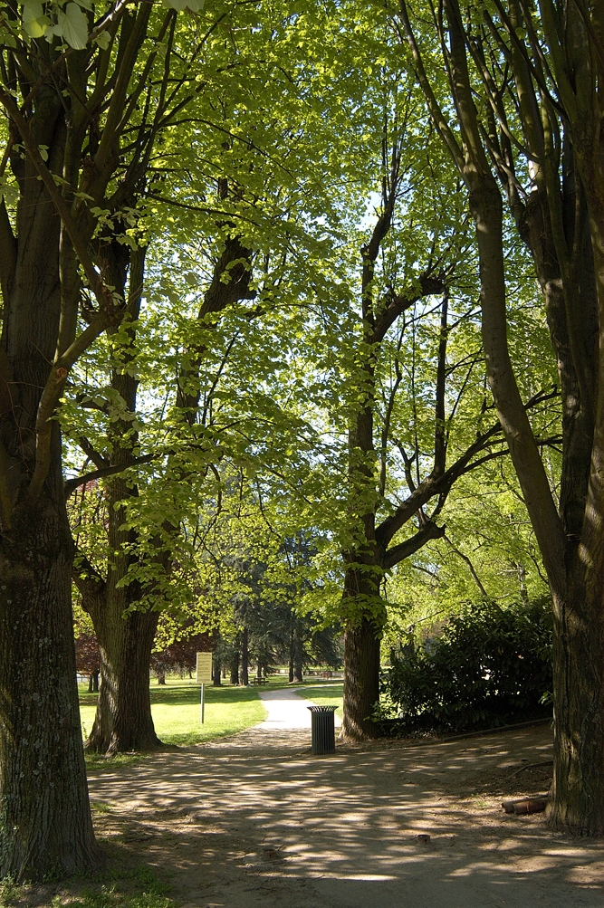 Le parc de l'Accueil - Albigny-sur-Saône