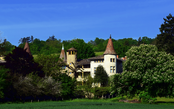 Château de la Fontaine - Anse