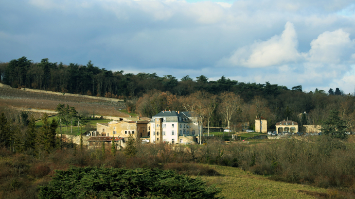 Château de saint Trys - Anse