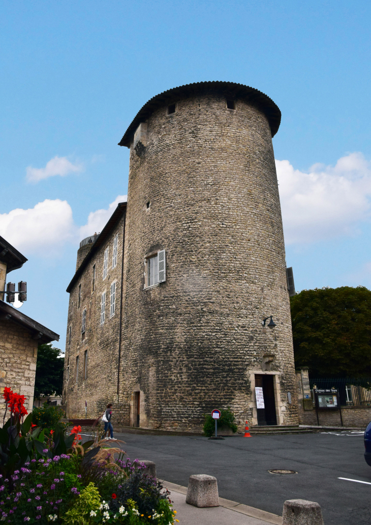 Château des Tours - Anse