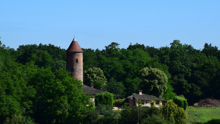 Tour d'Herbain - Arnas