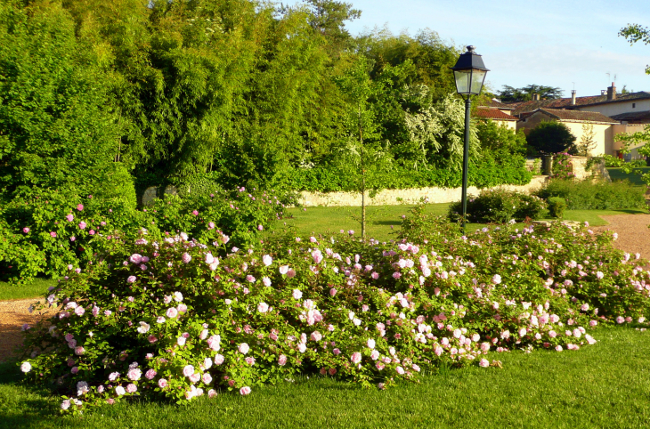 Parc mairie - Arnas