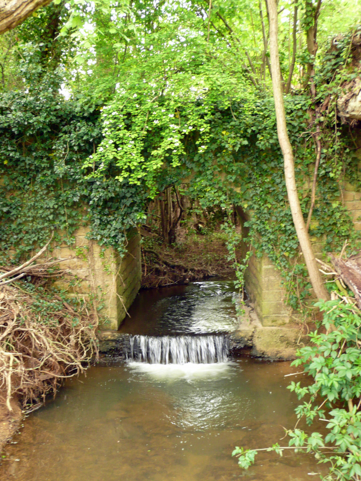 Ponceau du Tacot - Arnas