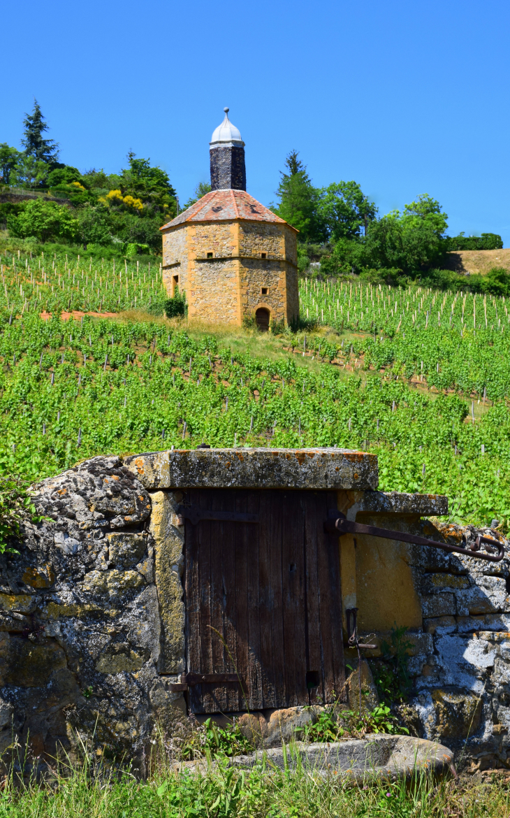 Vierge et pigeonnier - Bagnols