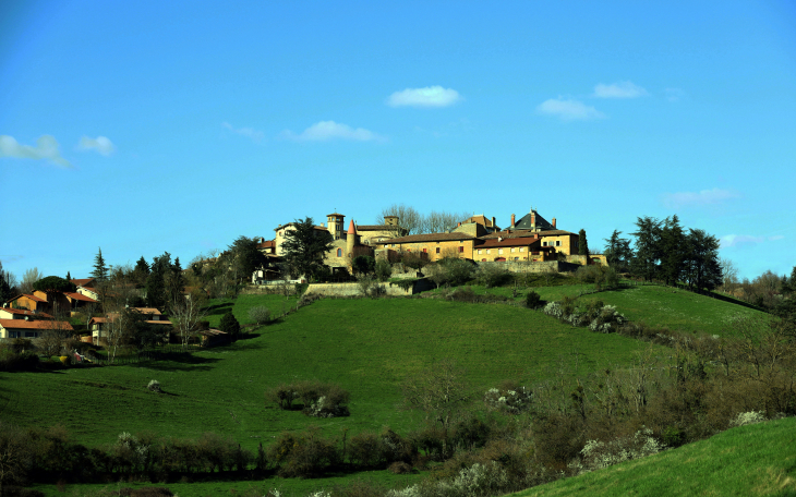 Vue panoramique - Belmont-d'Azergues