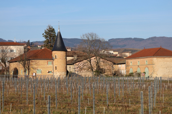 Château de Grandmont - Blacé