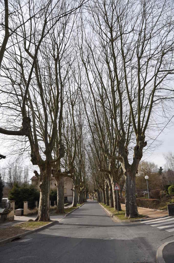 Avenue du 11 Novembre - Cailloux-sur-Fontaines