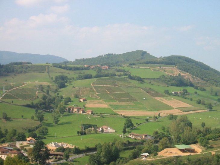 Les coteaux du hameau de Presle - Chambost-Allières