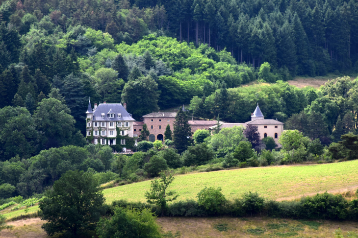 Château de Chalosset - Chamelet