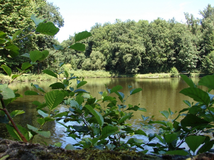 L'Etang du Boulard - Chaponost