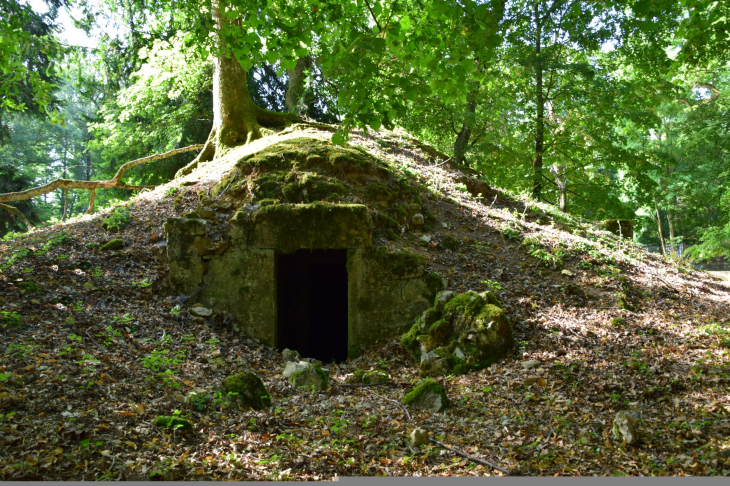 Glacière du château de Sermezy - Charentay