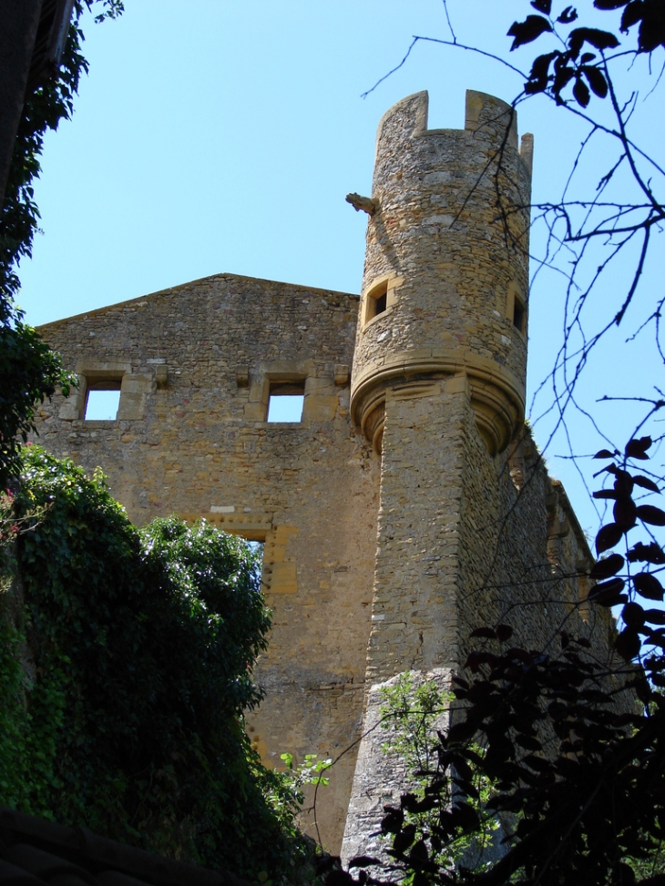 Le Château (privé, ne se visite pas) - Châtillon