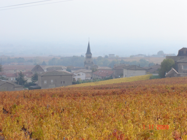 Automne à Chenas - Chénas