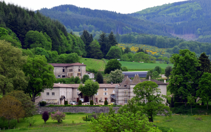 Château - Chénelette