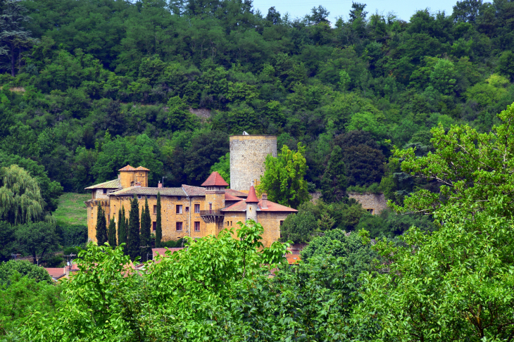 Château - Chessy