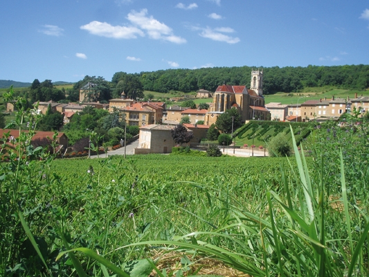 La Village de Cogny