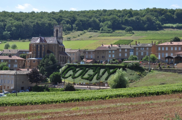 Vue d'Ensemble du Village - Cogny