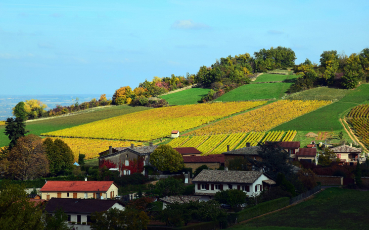 Colline de Molandry - Cogny