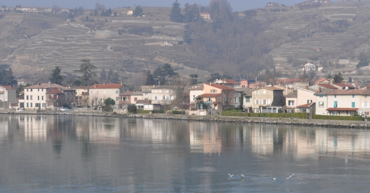 Les Berges du rhône - Condrieu