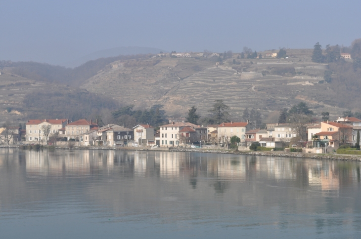 Les Berges du rhône - Condrieu