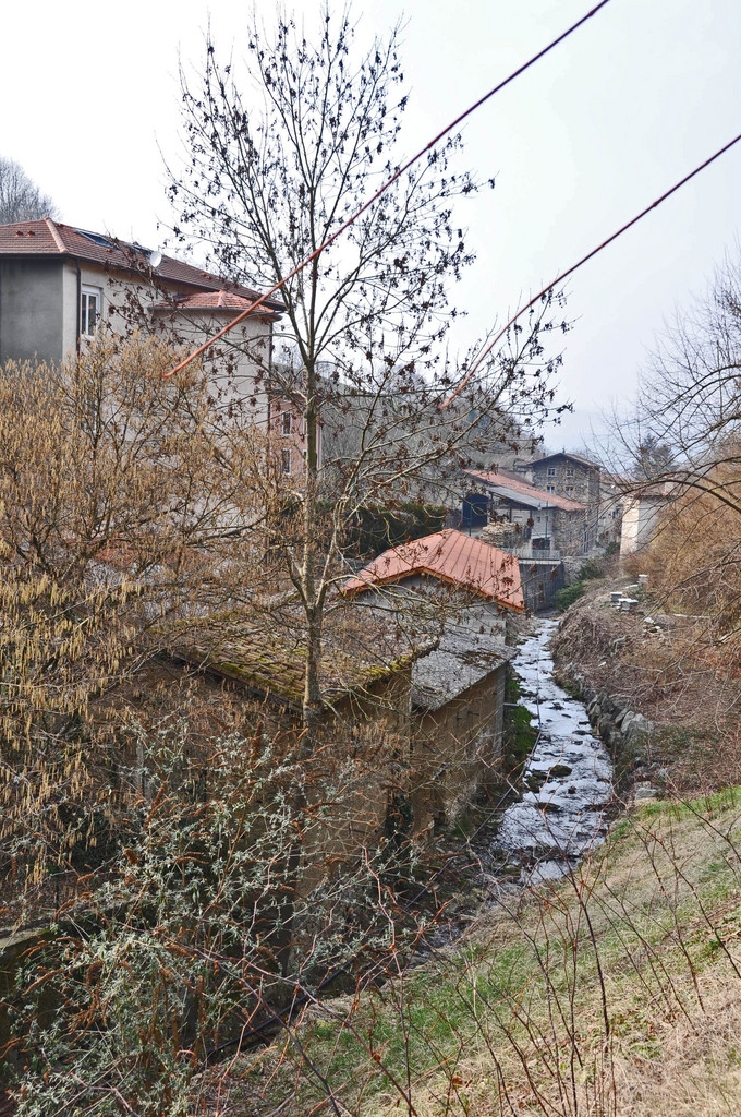 Cours d'eau - Courzieu