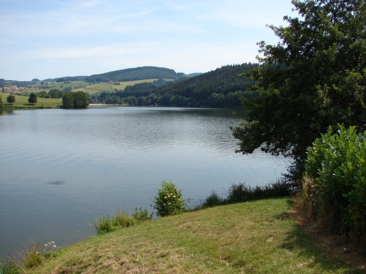 Le Lac des Sapins - Cublize