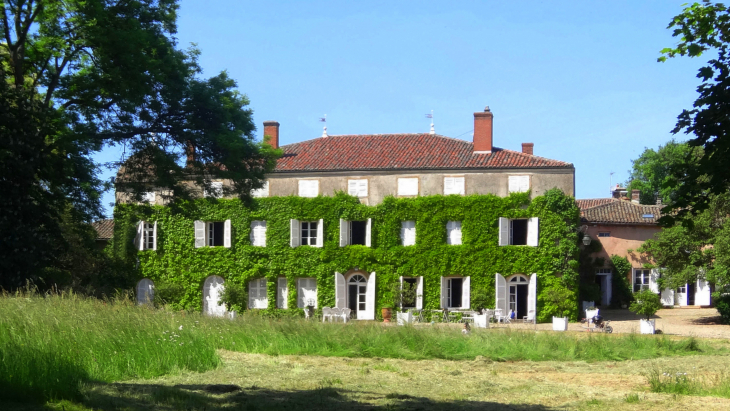 Château de Plantigny - Denicé