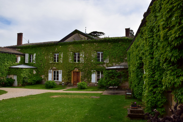 Château de Buffavent - Denicé