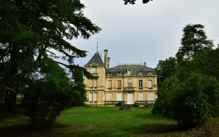 Château de Pouilly le Chatel - Denicé