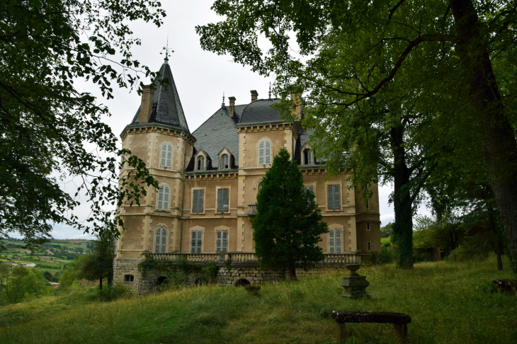 Château de maleval - Denicé