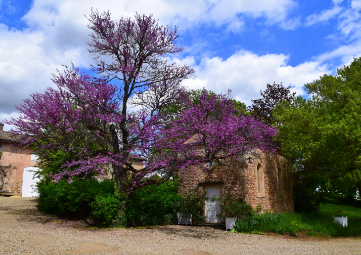 Chapelle de Plantigny - Denicé