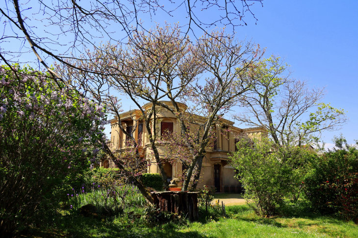 Château de Chevennes - Denicé