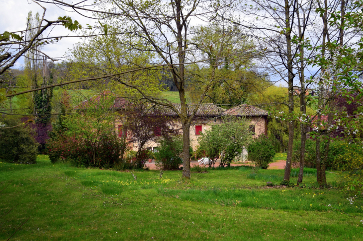 Maison de la Forêt - Denicé