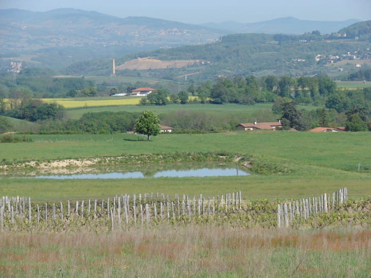 La Campagne Dommartinoise