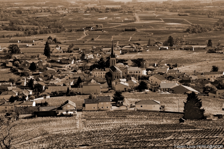 Mon village de FLEURIE