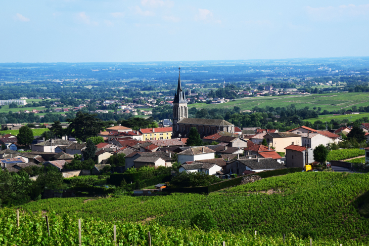 Vue panoramique - Fleurie