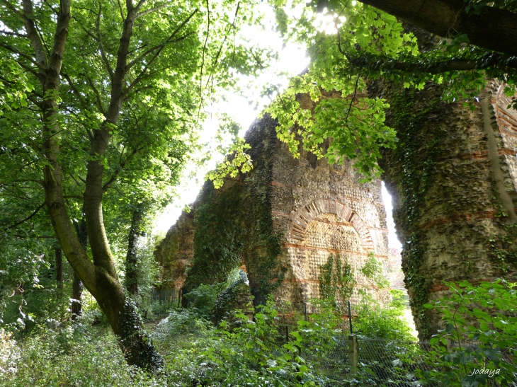 Francheville. Vestiges de l'aqueduc.