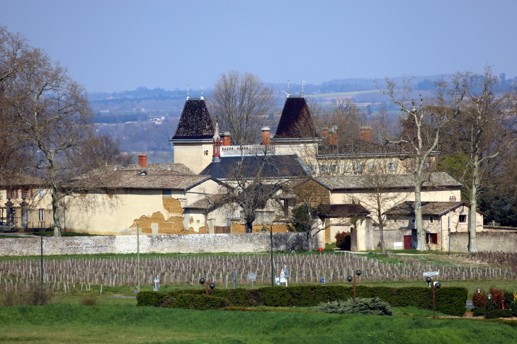 Château de Vaurenard - Gleizé