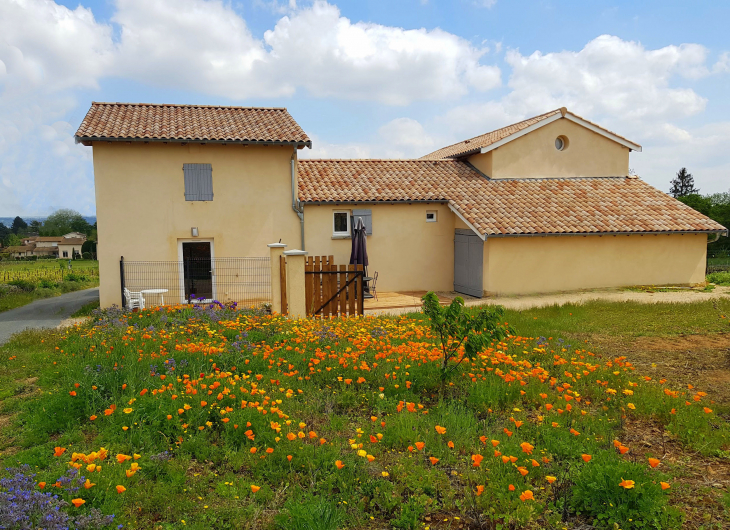 Maison des Vignes - Gleizé