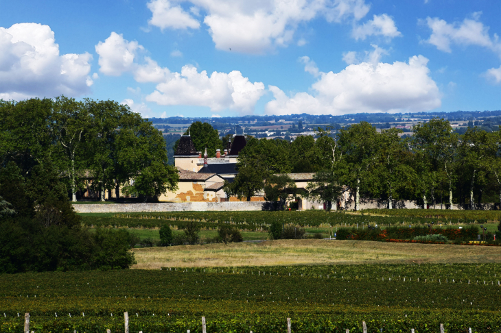 Château de Vaurenard - Gleizé