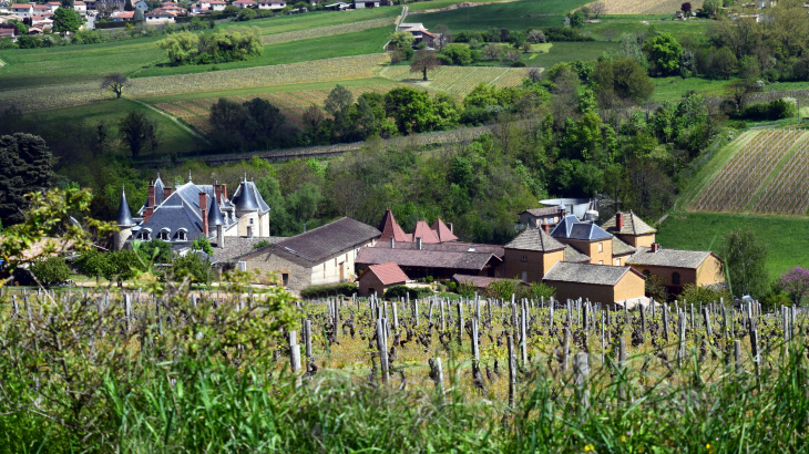 Château de Saint Fonds - Gleizé