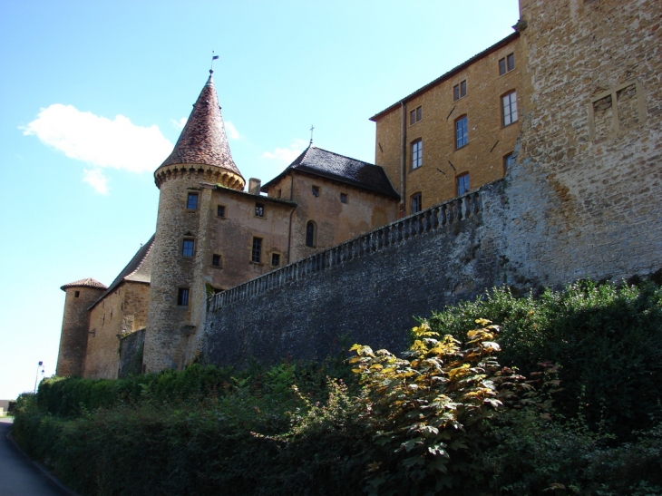 Le Château - Jarnioux