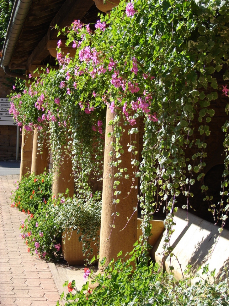 Le Lavoir - Jarnioux