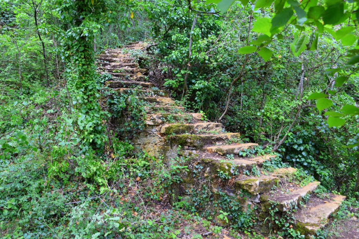 Escalier de vigne - Jarnioux