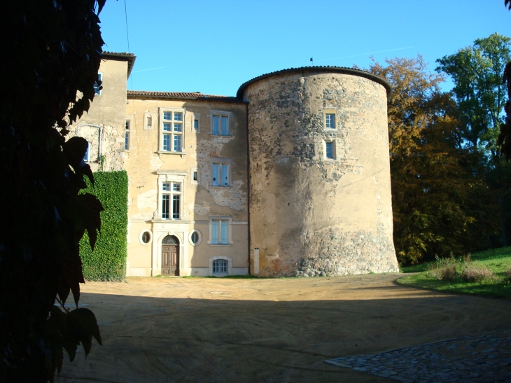 Château de Joux