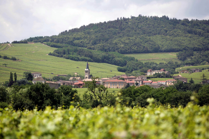 Vue panoramique - Jullié