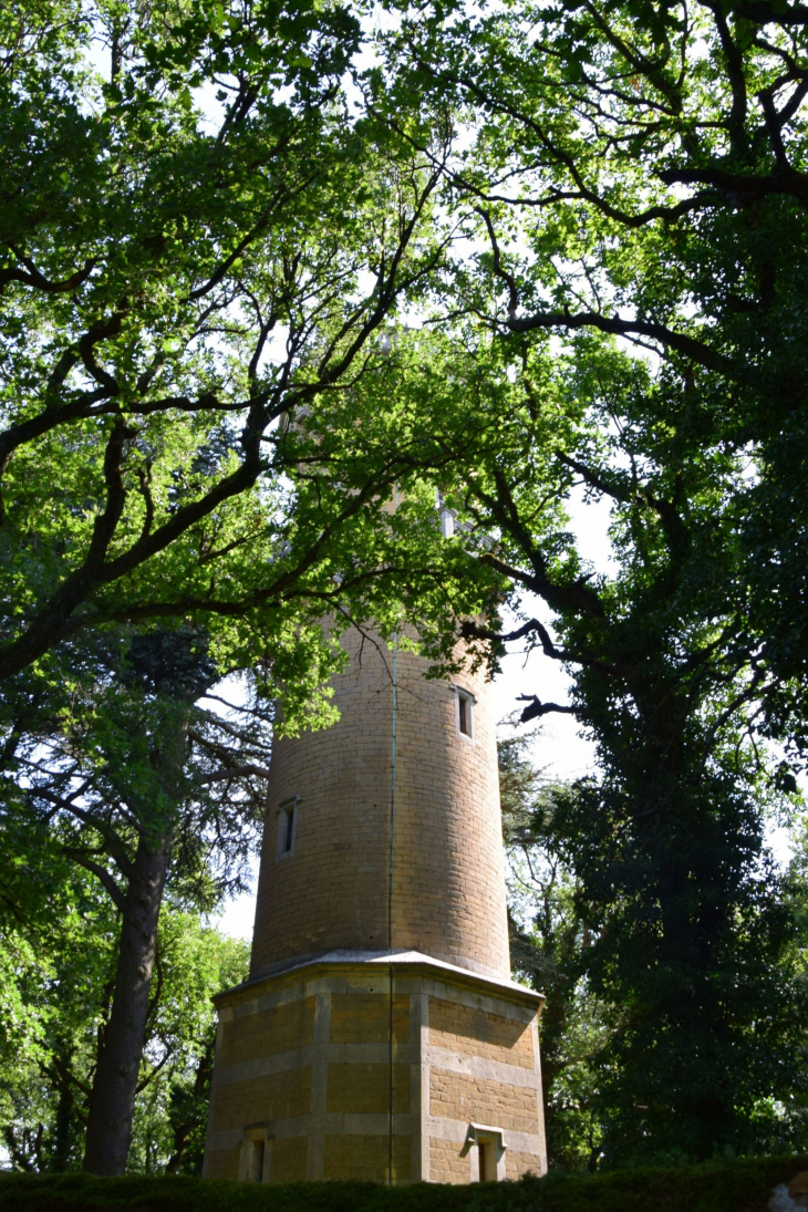 Tour - Lachassagne