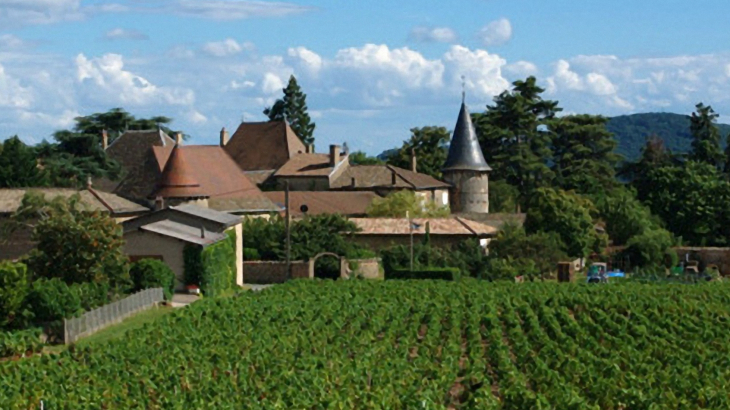 Château de Thulon - Lantignié